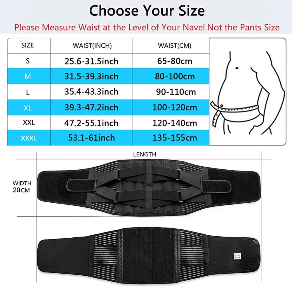 Binder Fitness Gym Belts